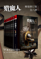 猎魔人系列全集（全八卷）