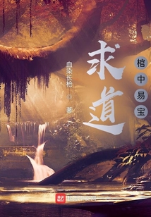 求道：棺中易寶