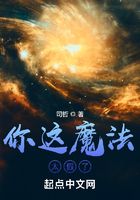 你这魔法太假了在线阅读