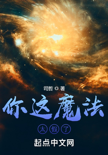 你這魔法太假了