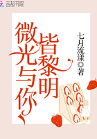 微光與你皆黎明在線閱讀