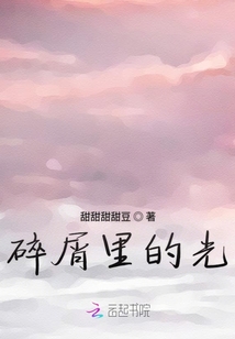 碎屑里的光