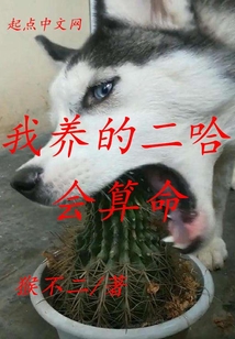 我養的二哈會算命