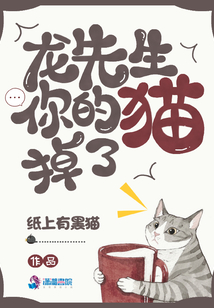 龍先生你的貓掉了
