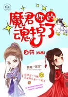 魔君,你的魂掉了在线阅读