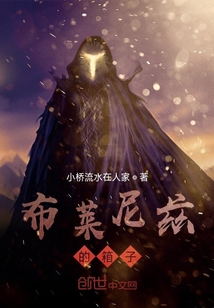 布萊尼茲的箱子