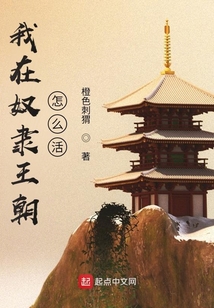 我在奴隸王朝怎么活
