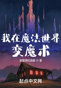 我在魔法世界變魔術(shù)
