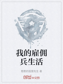 我的雇傭兵生活