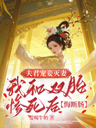 夫君宠妾灭妻,我和双胎惨死后他悔断肠在线阅读