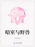 暗室与野兽在线阅读
