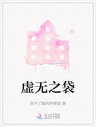 虚无之袋在线阅读