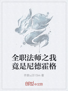 全職法師之我竟是尼德霍格在線閱讀