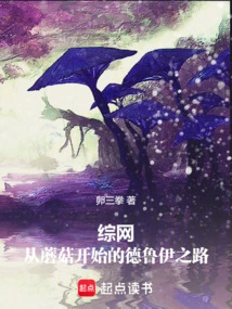 Comprehensive Website: the Path of Druid Starting from Mushrooms