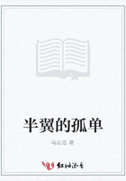 半翼的孤單在線閱讀