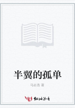 半翼的孤单 封面