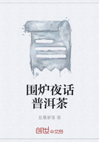 围炉夜话普洱茶