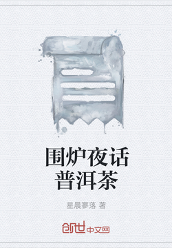 围炉夜话普洱茶 封面