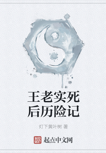 王老实死后历险记