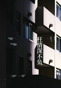 枉情深不負