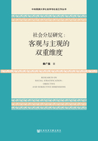 社会分层研究：客观与主观的双重维度在线阅读