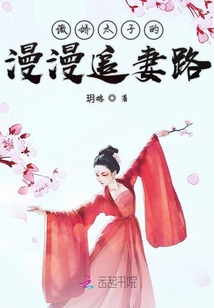 傲嬌太子的漫漫追妻路