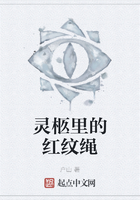 灵柩里的红纹绳在线阅读