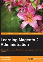 Learning Magento 2 Administration在线阅读