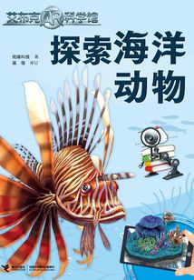 探索海洋動物