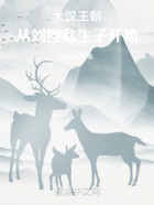 大汉王朝:从刘彻私生子开始