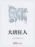 大唐狂人在线阅读