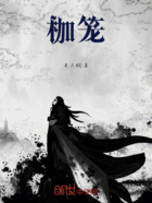 枷笼在线阅读
