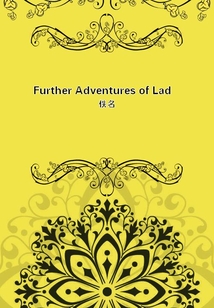 Further Adventures of Lad