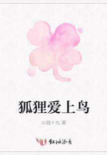 狐狸爱上鸟