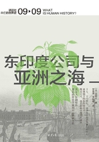 东印度公司与亚洲之海（讲谈社·兴亡的世界史 09）在线阅读