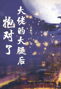 抱對了大佬的大腿后