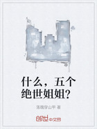 什么，五个绝世姐姐？在线阅读