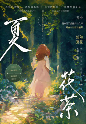 夏花茶在线阅读