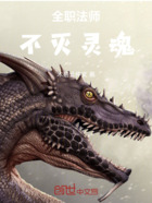 全职法师不灭灵魂在线阅读