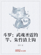 斗罗:武魂圣霆钓竿,朱竹清上钩在线阅读