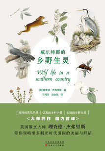 威尔特郡的乡野生灵