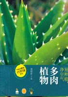 易种植，净空气：多肉植物在线阅读