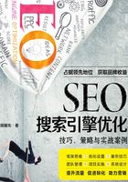 SEO搜索引擎优化：技巧、策略与实战案例