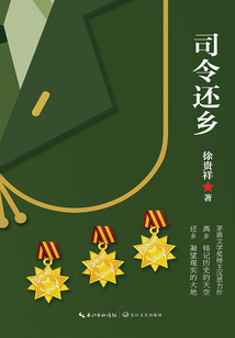 司令还乡