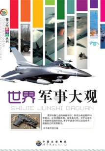 世界軍事大觀