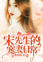 宋先生的寵妻日常在線閱讀