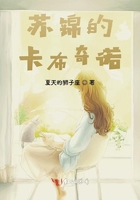 苏锦的卡布奇诺在线阅读