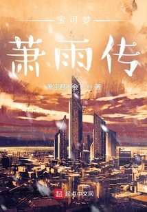 宝可梦萧雨传