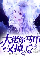 大佬你马甲又掉啦