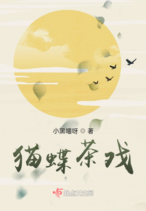 貓蝶茶戲